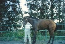 �����мǺ��� (HIGH FASHION BOOT) ����