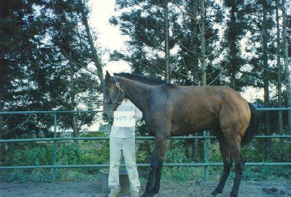 �����мǺ��� ����