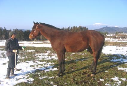 ���ξ˶����̾� ����