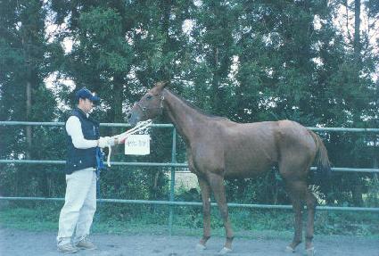 �������÷��� ����