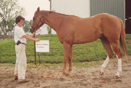 ��ġ���Ű�� ����