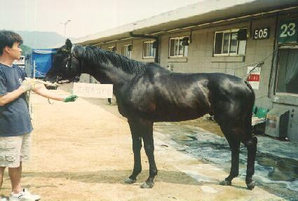 ����Ʈè�Ǿ� ����