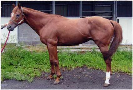 ���Ӵ� ����