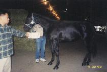 �ٸ������� (ALLEZ MONEZ) ����