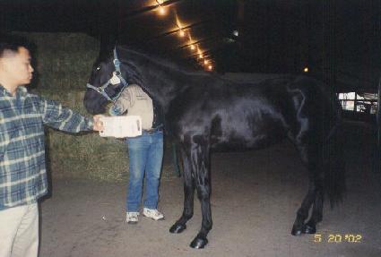 �ٸ������� ����