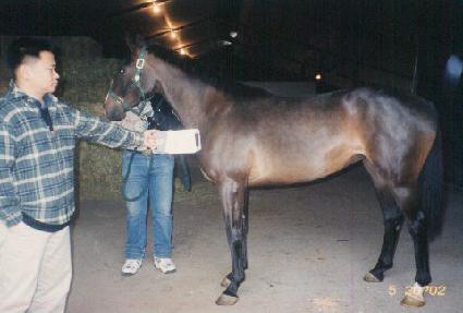 �����Ʈ��ũ ����