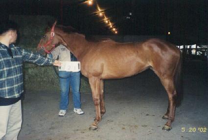 ������ũ ����