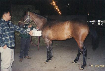 �������� ����