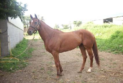 �����Ľ��̹� ����