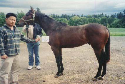 �ο��� ����