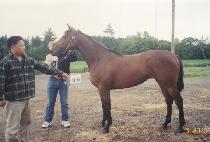 ����������� (MUSIC MOVES ME) ����