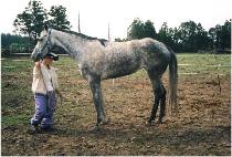 �ö��� (O LA LA) ����