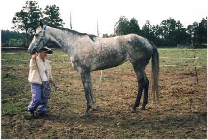 �ö��� ����