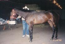 �ٺ� (VAVOOM) ����