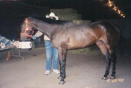 �ٺ� ����