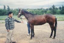 WHY NOT STAR ����