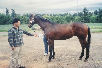 WHY NOT STAR ����