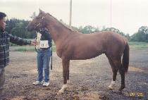 ���� (GWANGPO) ����