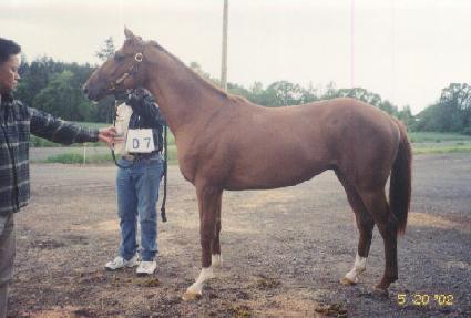 ���� ����