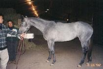 ���õ (DAEUNGCHEON) ����