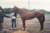 ������� (DAEWANG CHUKJE) ����