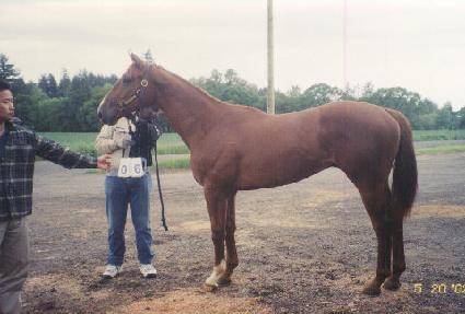 ������� ����