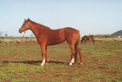 �ŷ��� ����