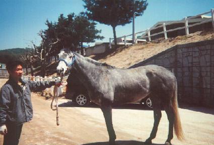 �ǹ�ī�� ����