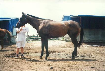 ��ƼĶ�� ����