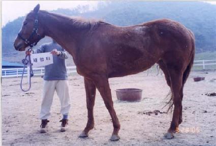 ������ ����