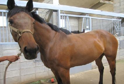 �ؾ翵�� ����