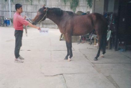 ��ǳ�¸� ����