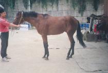 ���� (SEOMNYEOP) ����