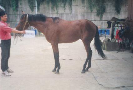 ���� ����