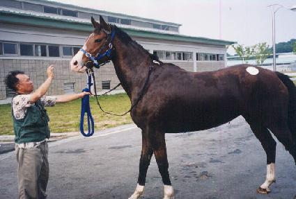 �ƹ̶� ����