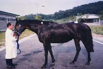 �ƿ������� (OUR ENVOY) ����