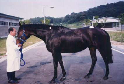 �ƿ������� ����