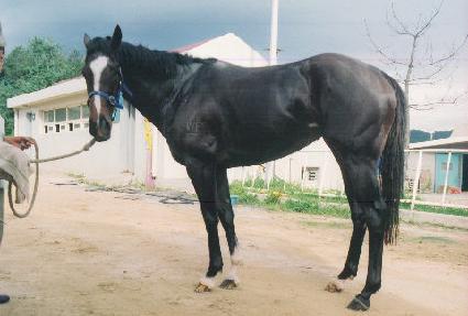 �����̽� ����