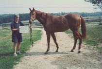 ������ (EMPOLI) ����