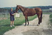 ����ī��Ƽ�̽� (WELLS COUNTY MISS) ����