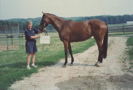 ����ī��Ƽ�̽� ����