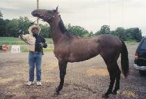 ��õ (CHUCHEON) ����