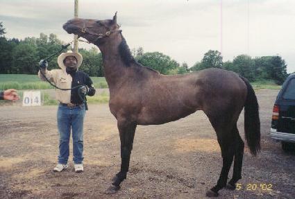 ��õ ����