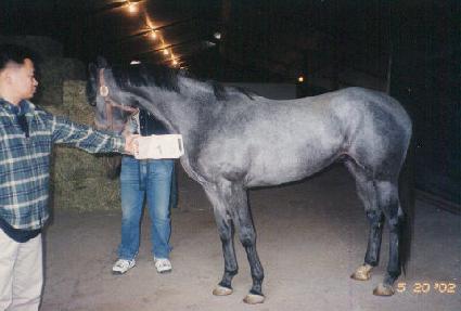 ����� ����