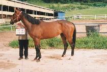 �ܷ� (GYEORE) ����