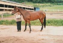 ��Ʈ���� (RETRY) ����