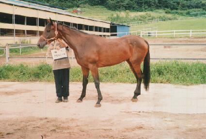 ��Ʈ���� ����