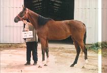 ����� (BONGDAESAN) ����