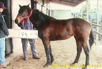 ��Ȥ (MAEHOK) ����