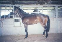 ��õ�η� (GWACHEON DURYEONG) ����